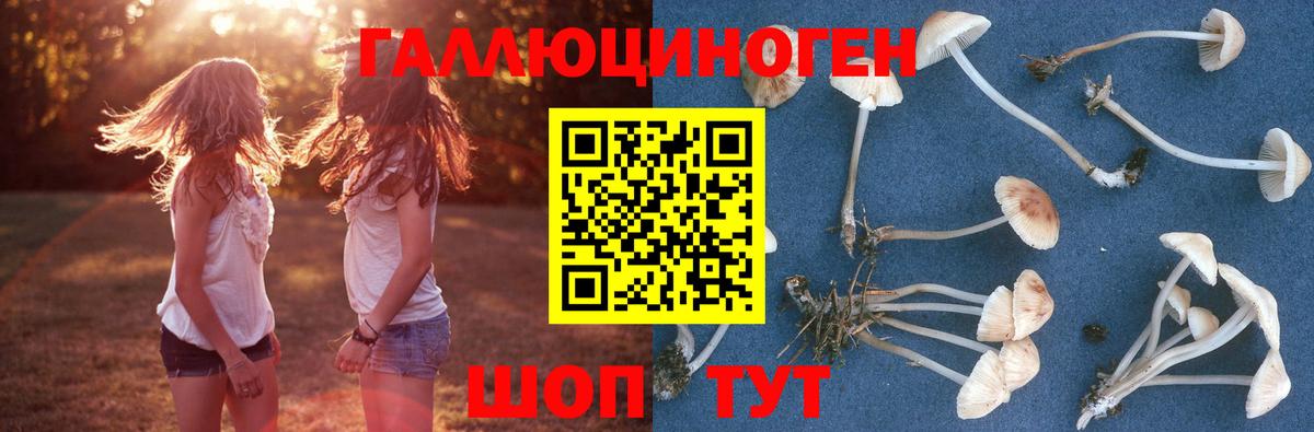 наркошоп  Галлюциногенные грибы Psilocybine cubensis  Псилоцибиновые грибы мицелий  Вход с VPN  Домодедово 